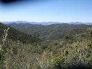photo thumbnail #12