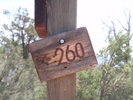 photo thumbnail #13