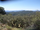 photo thumbnail #14