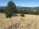 photo thumbnail #2