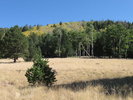 photo thumbnail #9