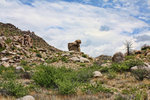 photo thumbnail #3