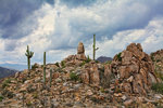 photo thumbnail #5