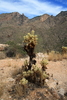 photo thumbnail #4