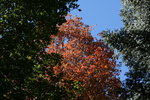 photo thumbnail #10