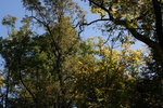 photo thumbnail #11
