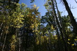 photo thumbnail #13