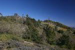 photo thumbnail #15