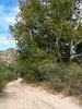 photo thumbnail #12