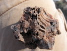 photo thumbnail #12