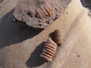 photo thumbnail #14