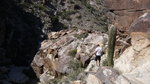 photo thumbnail #11