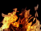 photo thumbnail #10