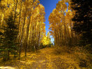 photo thumbnail #8