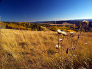photo thumbnail #11