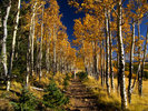 photo thumbnail #12
