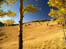 photo thumbnail #13