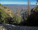 photo thumbnail #10