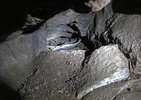 Inside the cave lower back of one of the rooms, a prize find of the day with a good flashlight within a hidden compartment: a fully intact "pot base"; photo of comment