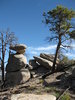 photo thumbnail #3