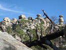 photo thumbnail #5