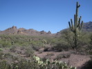photo thumbnail #5