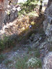 photo thumbnail #13