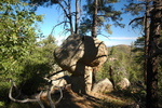 photo thumbnail #1