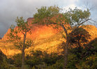 photo thumbnail #1
