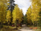 photo thumbnail #2