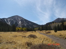 photo thumbnail #5