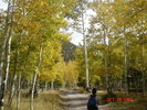 photo thumbnail #8