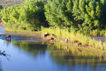 photo thumbnail #11