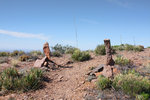 photo thumbnail #3