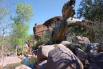 photo thumbnail #5