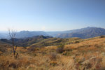 photo thumbnail #8
