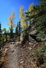 photo thumbnail #4