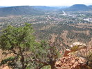 photo thumbnail #3