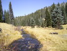 photo thumbnail #2