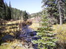 photo thumbnail #4