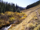 photo thumbnail #7