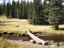 photo thumbnail #8