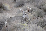 photo thumbnail #14