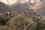 photo thumbnail #15