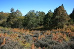 photo thumbnail #10
