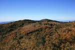 photo thumbnail #11