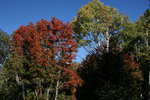 photo thumbnail #14