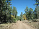 photo thumbnail #5