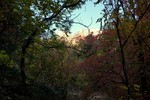 photo thumbnail #8