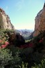 photo thumbnail #14